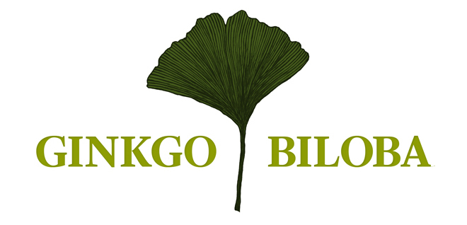 Ginkgo Biloba Park
